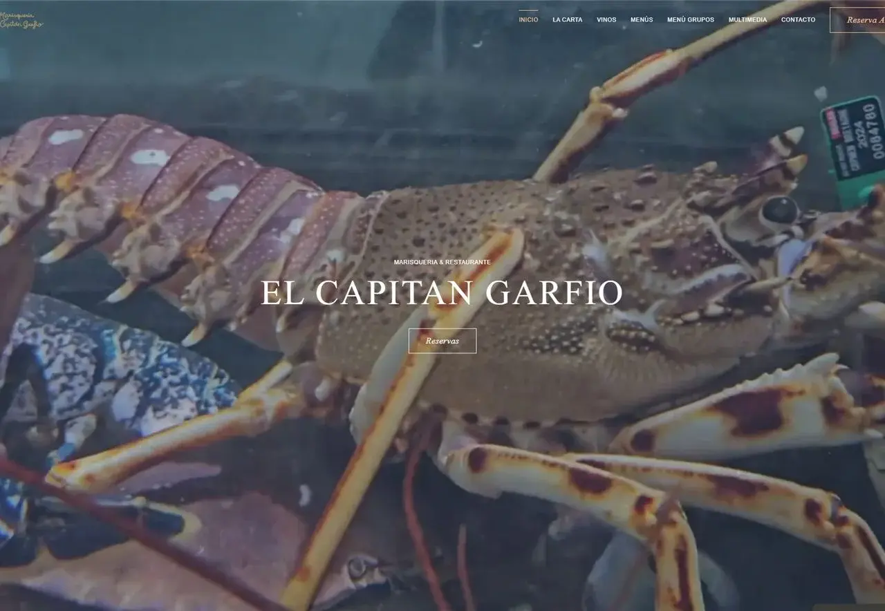 Web de El Capitán Garfio hecha por aColor