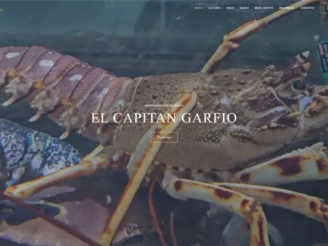 Página web de El Capitán Garfio — diseño web de aColor