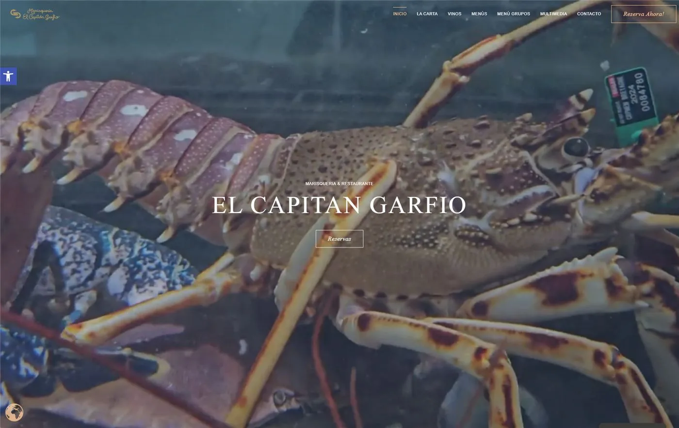 Página web de El Capitán Garfio — diseño web de aColor