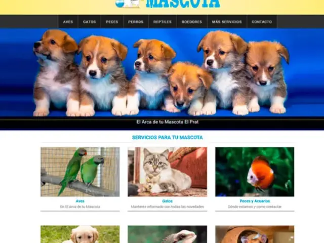Página web de El Arca de tu Mascota — diseño web de aColor