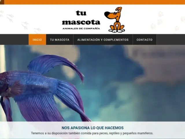 Página web de Tu Mascota — diseño web de aColor